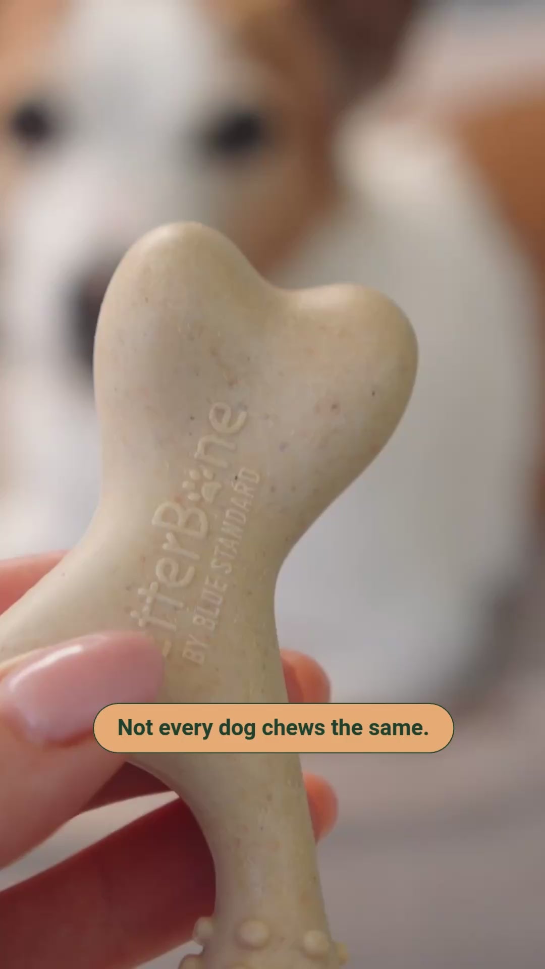 BetterBone Wishbone: plant-based, splinter-resistant, built with textured ends to help clean teeth